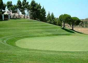 Greens at El Chaparral are in excellent order